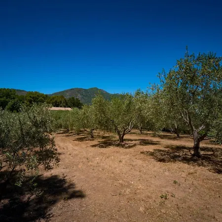 Semesterbostad Maison Gerard By Interhome *