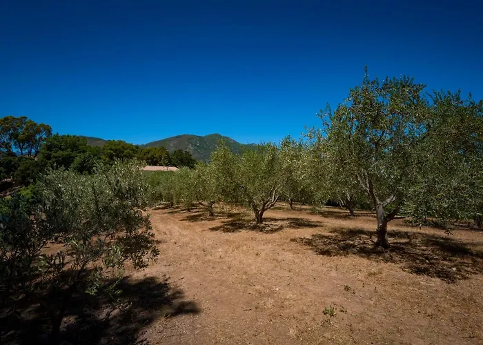 度假居 Maison Gerard By Interhome *