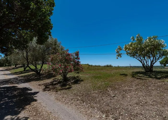 Maison Gerard By Interhome * Cervione